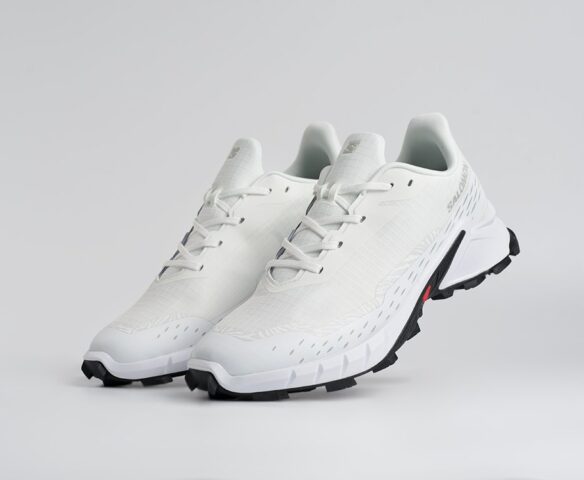 Salomon Alphacross 5 GTX Белые 45204 Salomon Alphacross 5 GTX Белые 45204