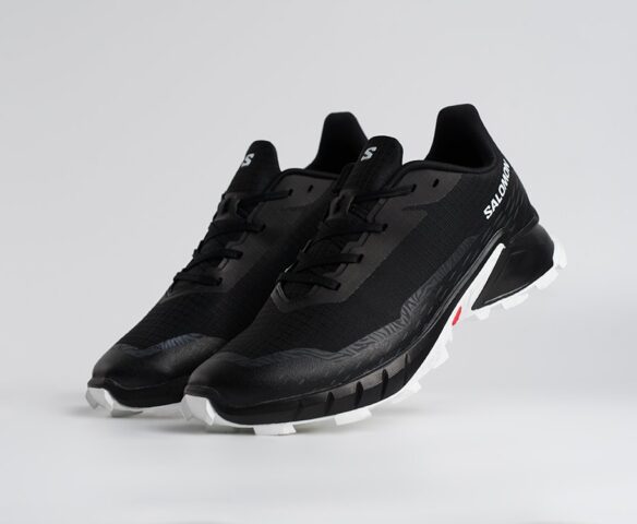 Salomon Alphacross 5 GTX Черные 45206 Salomon Alphacross 5 GTX Черные 45206