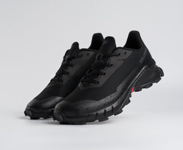 Salomon Alphacross 5 GTX Черные 45203 Salomon Alphacross 5 GTX Черные 45203